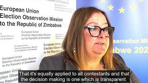 Zimbabwe 2023 EU EOM - Deputy Chief Observer on South African 24-hour news TV channel SABC (part 3)