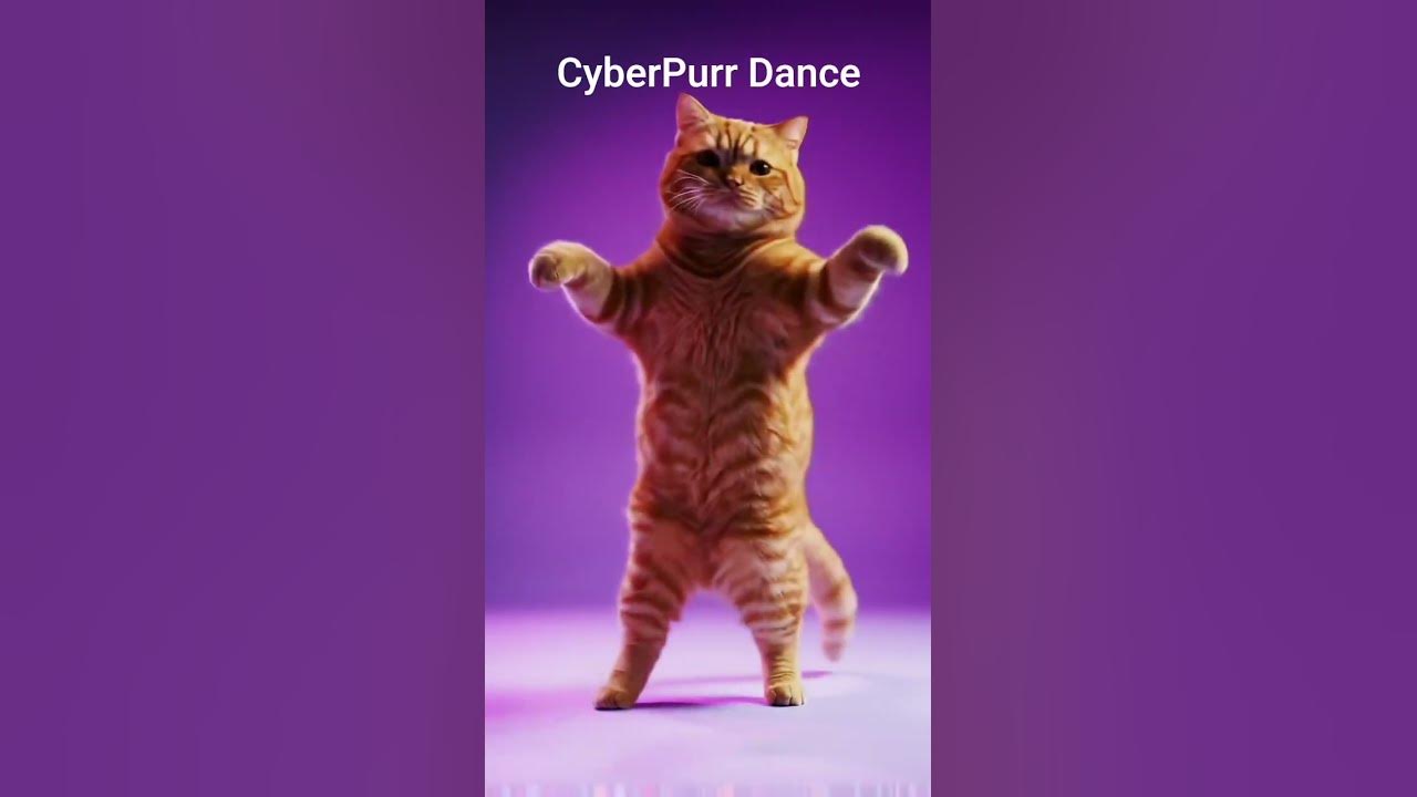 Tavukları Pişirmişem Kedi