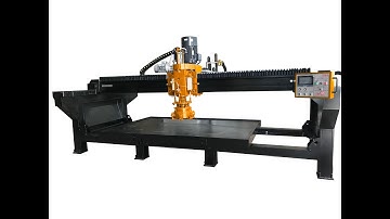 Dialead single head bridge polishing machine