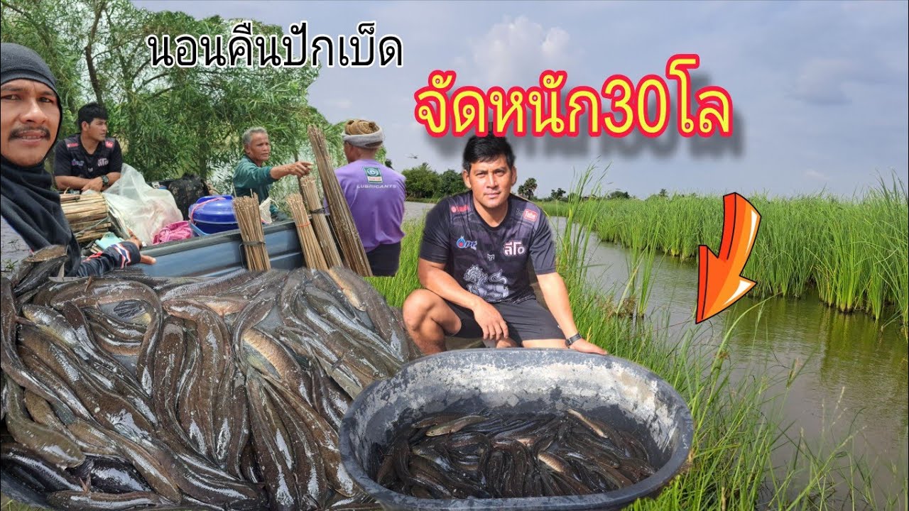 นอนคืน #ใส่เบ็ด #ปักเบ็ด หมายเก่าหมานเกินคาดจัดไซร์โลอีกแล้ว งานนี้หมานสุดๆ