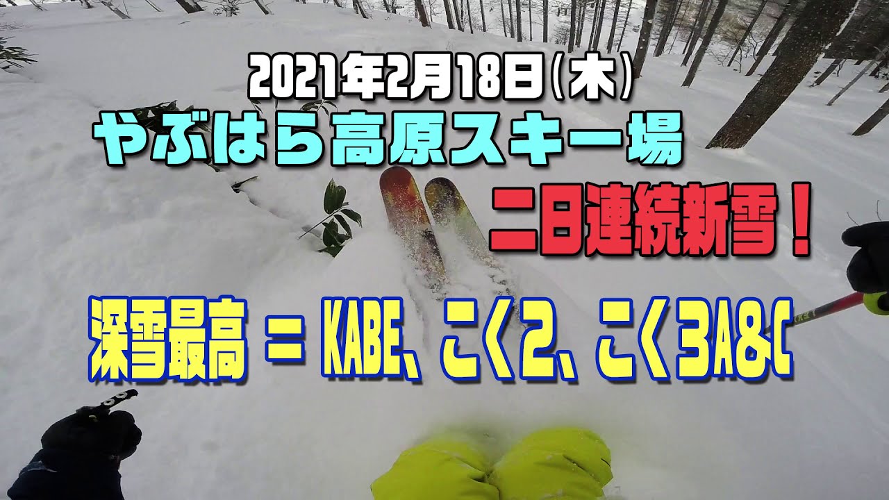 二日連続新雪 深雪最高 やぶはら高原スキー場 21年2月18日 Youtube