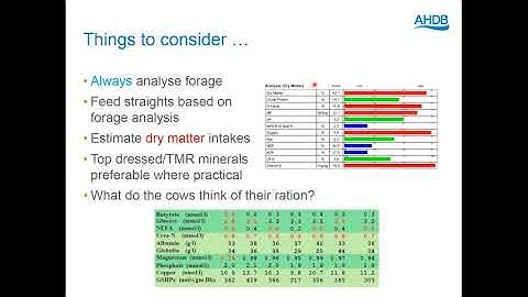 Management of the suckler cow and calf around calving