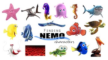 Finding Nemo / Nemo Characters Real Life Animals / Leo & Lia Kids TV