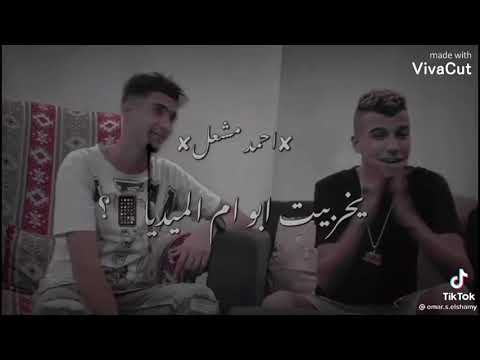 مهما الاسد يكبر هيشوف تقدير