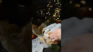 Саксонский маковый штоллен на закваске из Хлебного клуба❤️ закваска хлеб хлебназакваске штоллен