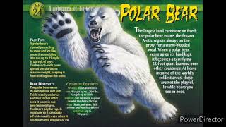 polar bear sound effects