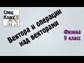 Вектора и операции над векторами