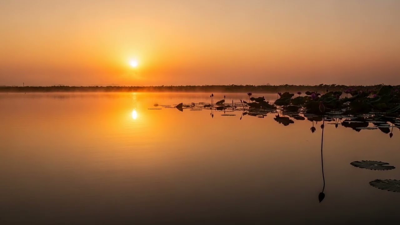 Meditation Music - Meditation Ambient | Deep Relaxation, Stress Relief, Sleep (1 Hour)