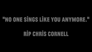 Black Hole Sun: 5 years gone + we still miss Chris Cornell.