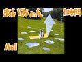 あいみょん  Aoi【1時間】