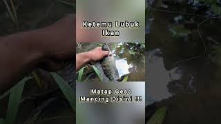 Ketemu Lubuk Ikan Nila, #Pemancingan #Viral #Shortvideo #Pemancing