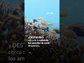 ¿Cómo impacta el deterioro del océano a las más de 3,000 millones de personas que dependen de él?
