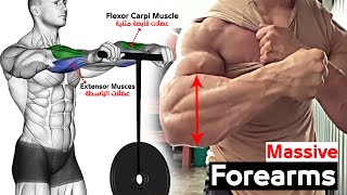 6 BEST Exercises for Bigger Forearms Workout