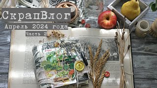 Влог апреля (часть II): много посылок-подарков, садовый джанк junk journal , разговор о лимфоузлах