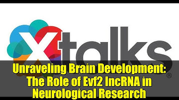 Unraveling Brain Development: The Role of Evf2 lncRNA in Neurological Research