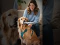 Dog Thinks Owner is Sleepwalking Through Life - Becomes Her Personal Bodyguard