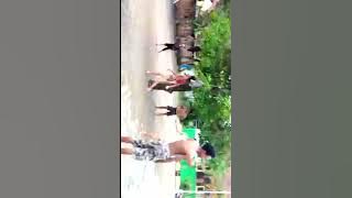 Sepak bola telanjang
