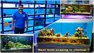 Best planted aquariums and Fishes | aquaria | adayar chennai