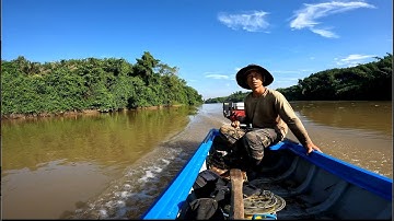 Một buổi câu dạo sông Bé đủ loại cá ✅