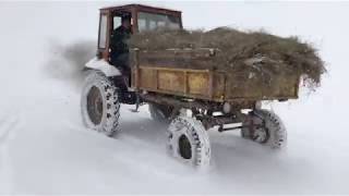 Как Завести #Трактор т 16 Зимой в Мороз. #Tractor Pulling #2019