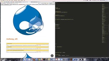 Navigating your Entity Metadata Wrapper