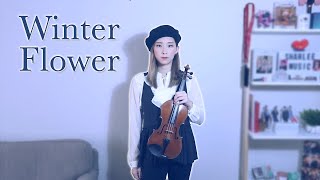 《Winter Flower》- Younha (feat. RM) Violin Cover ( Free Sheets)