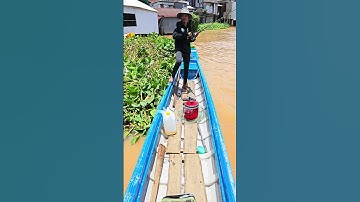 Câu cá basa gặp con vồ đém#shorts #fishing #caucagiaitri