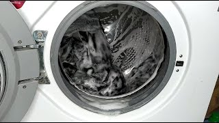 Another wash of dark laundry in a special mode of the washing machine Lg