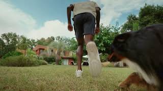 PURINA PROPLAN SMASH GAEL MONFILS 20s 16x9