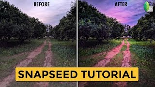 Go Crazy with Colors on Snapseed | Android | iPhone screenshot 4