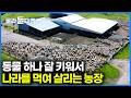 인구는 500만 명, 양은 2,500만 마리｜양 키워서 나라를 먹여 살리는 뉴질랜드 농장｜극한직업｜#골라듄다큐 Mp3 Song