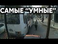 Подборка САМЫХ "УМНЫХ" водителей #304