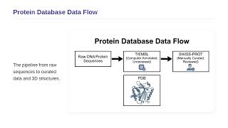 Computational Biology - Protein Databases