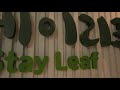 Your Home in Seoul, Tour Stayleaf, Verified by Enkostay