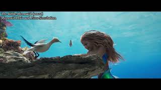 CFX Showreel 2023