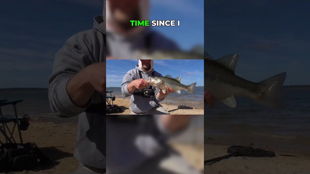 Unexpected Bass! Caught Reeling in Bait!