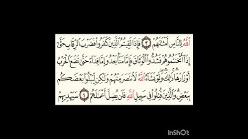 سورة محمد آية٤ #سورةالفاتحة #اكسبلور #الرحمن #سورةالكوثر #لايك #الورقات #المصحف #ترند #سورةالاخلاص