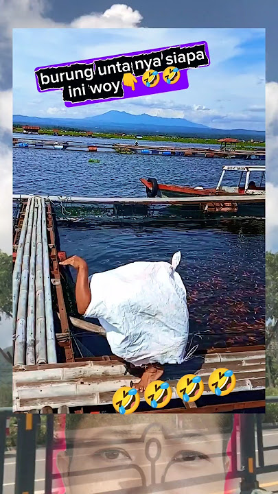 cantik juga burung unta nya🤣🤣🤣 #ngakak #lucu #funny #comedy #viralvideo #shortvideo #shorts