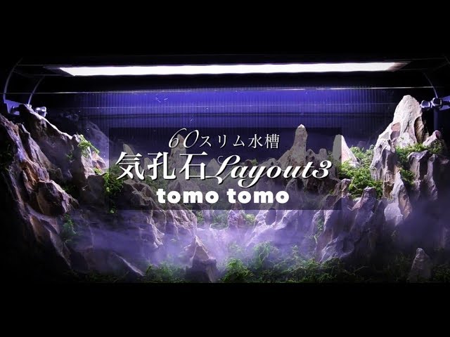水草水槽アクアリウム】気孔石(黄虎石) 石組み レイアウト
