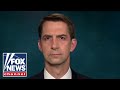 Tom Cotton calls out Biden's 'bold-faced lie' on Afghanistan conflict