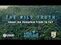 The Wild Truth About The Capuchin Trade in Trinidad and Tobago