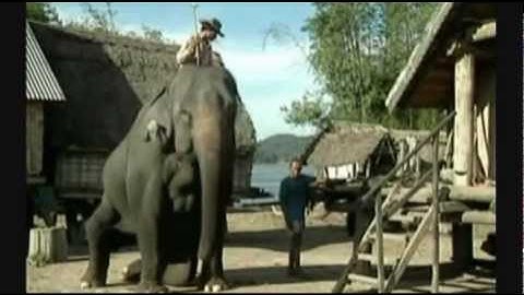 ĐI TÌM LỜI RU THẦN MẶT TRỜI-ca sĩ Y Jack