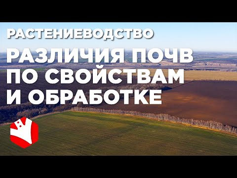 Различия почв | Как обрабатывать почву? | Технологии растениеводства