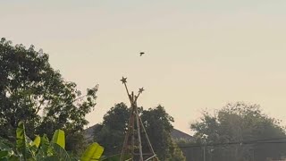 March 28th 2025 0725 UFO. Slow motion footage. Full video