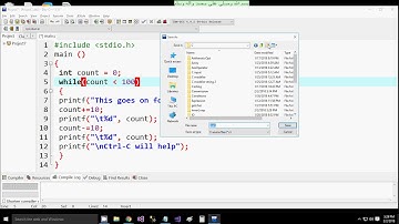 C infinite while loop