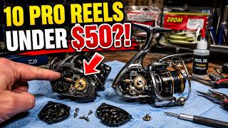 10 Fishing Reels PROS Secretly Buy (Under $50) — Why Are You Paying $300?