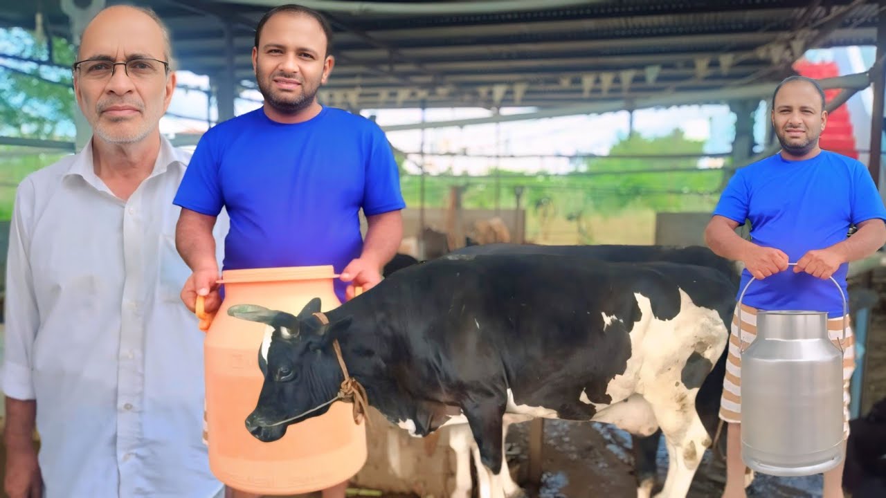 45 மாடுகள் தினமும் 280 லிட்டர் பால் வீடுகளுக்கு சப்ளை | குடும்பமாக Dairy Farm தொழில் | Siva Arun Tv