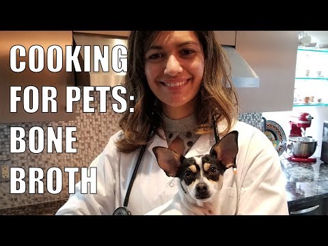 How To Make A Bone Broth Recipe For Your Cat or Dog