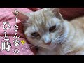 9.【限定公開】「ちゃんた幸せビデオレター」くらのすけ君ありがとう!