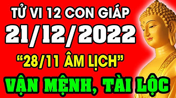 Tử vi hàng ngày 12 con giáp ngày 21/12/2022: Xem Vận Mệnh, Tài Lộc, Sự Nghiệp, Tình Duyên, Sức Khỏe